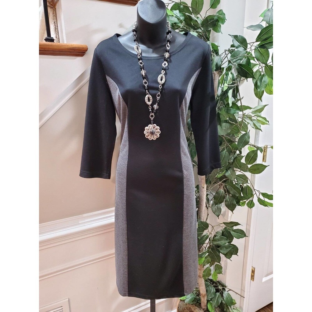BFA Classics Women's Black Polyester Round Neck Long Sleeve Knee Length Dress M